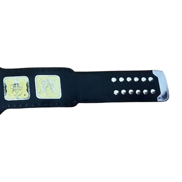 AWA World Tag Team Wrestling Championship Belt Championship Belts Online