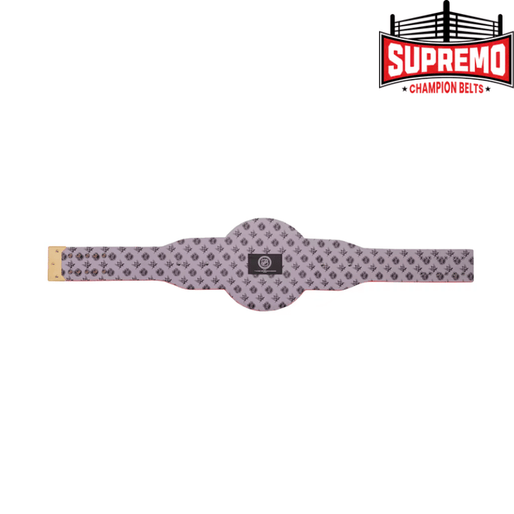 Anaheim Ducks WWE Legacy Title Belt