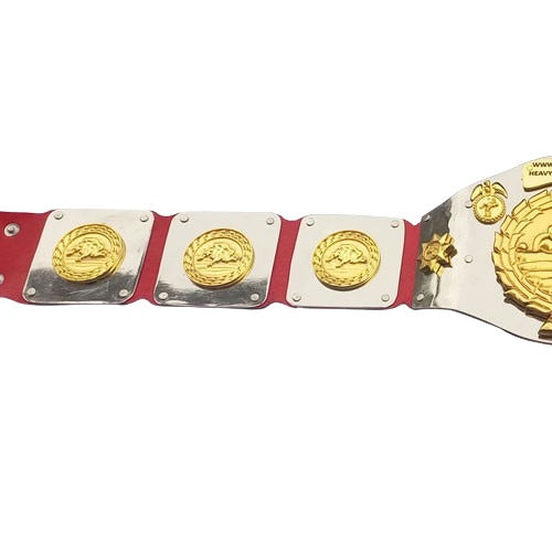 Wwf D-generation X Championship Belt Replica Championship Belts Online